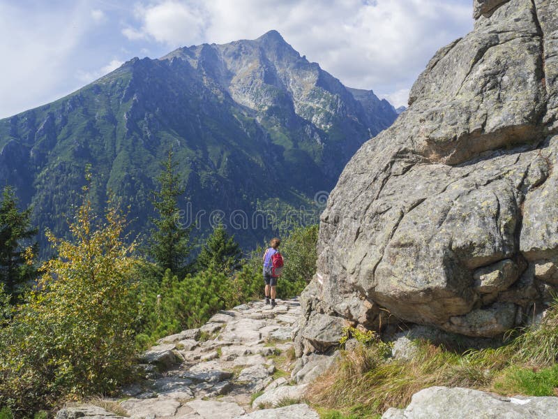 Mulher superior do turista que caminha na fuga de natureza bonita em montanhas altas do tatra em slovakia, dia ensolarado do verã imagens de stock royalty free Mulher superior do turista que caminha na fuga de natureza bonita em montanhas altas do tatra em slovakia, dia ensolarado do verã imagens de stock royalty free