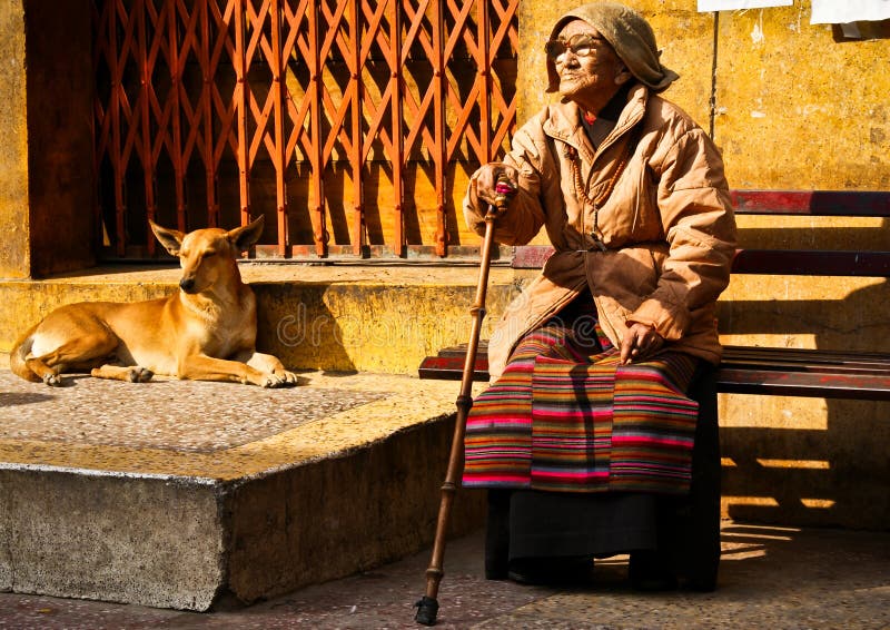 Mulher tibetana idosa com um cão, ka Tila de Majnu fotografia de stock Mulher tibetana idosa com um cão, ka Tila de Majnu fotografia de stock
