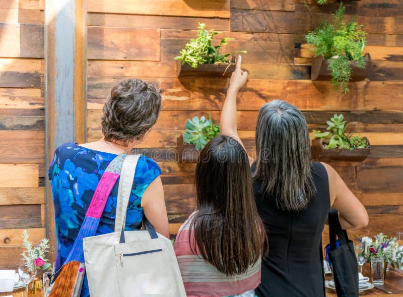 Mulheres e menina que apontam na luz, na madeira e nas plantas imagens de stock Mulheres e menina que apontam na luz, na madeira e nas plantas imagens de stock