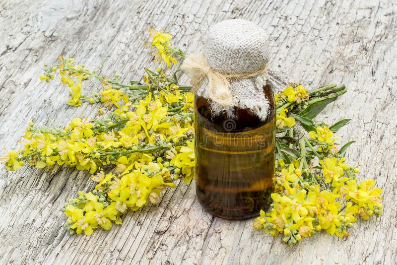 Mullein (Verbascum) and pharmaceutical bottle stock images Mullein (Verbascum) and pharmaceutical bottle stock images