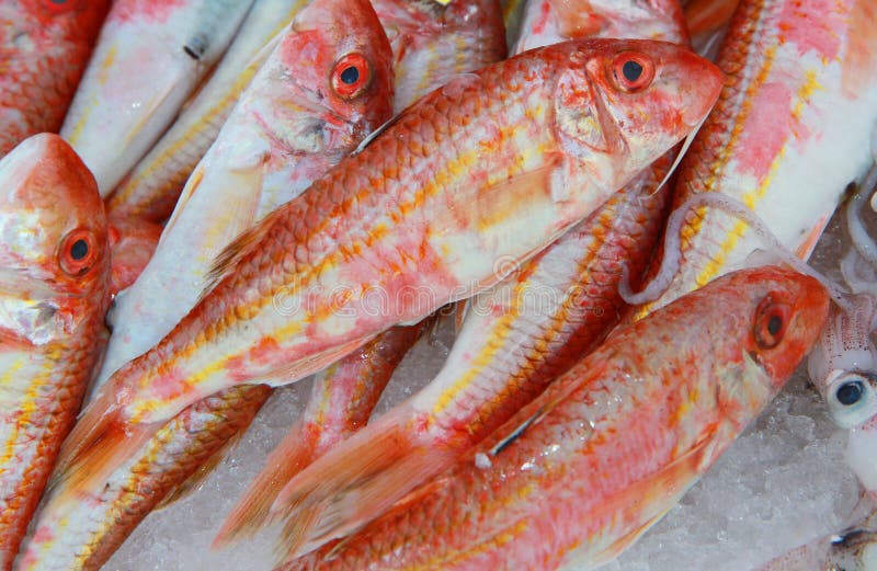 Mullets For Sale At The Local Market Stock Photo Image of cuisine
