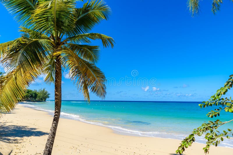 Mullins Beach - tropical beach on the Caribbean island of Barbados. It is a paradise destination with a white sand beach and