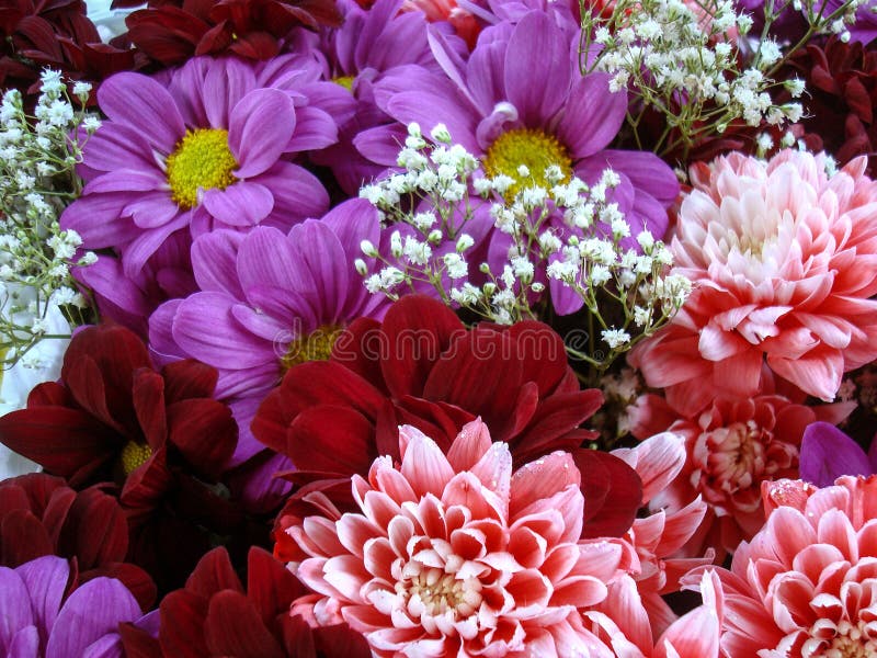 Multi Color Bouquet with Such Flower As Dahlia and Chrysanthemum Stock ...