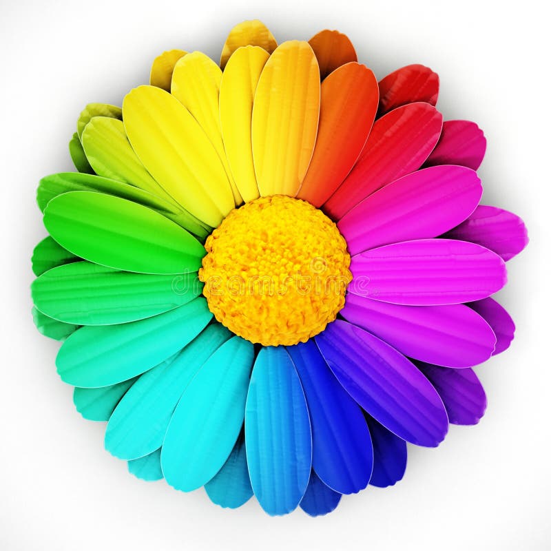 Multi Colored Daisies Isolated on White Background. 3D Illustration ...