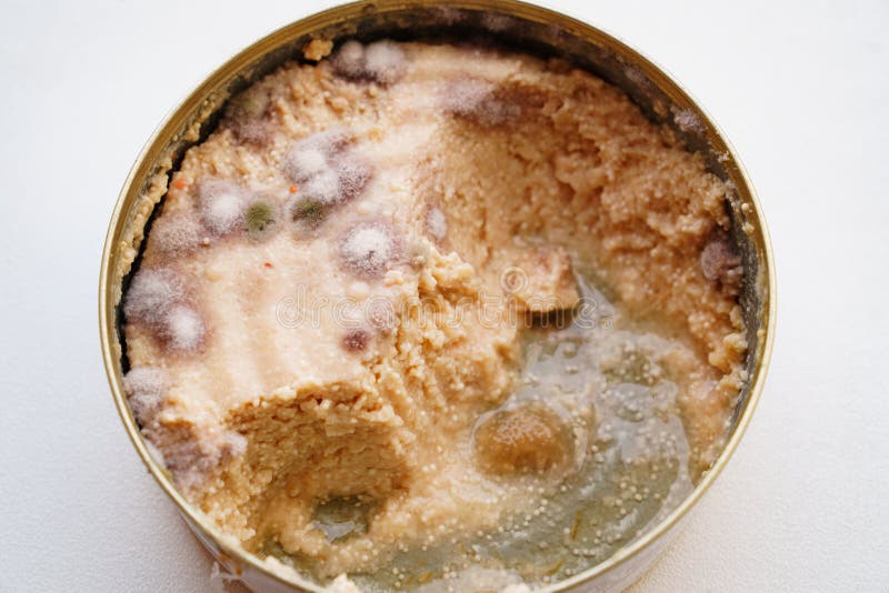 Multicolored Mold on Canned Food. Spoiled Products. on a White