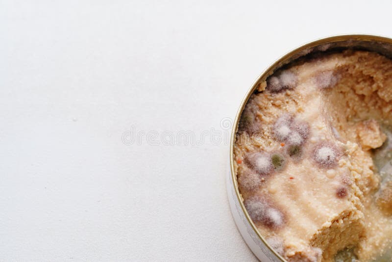 Multicolored Mold on Canned Food. Spoiled Products. on a White