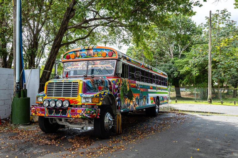 Multicolored Urban Bus Parked on a Park Stock Image Image of america