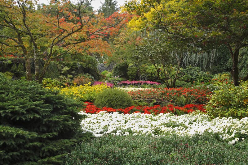 The multi-colour flower bed