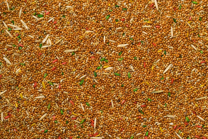 Multi-coloured grain