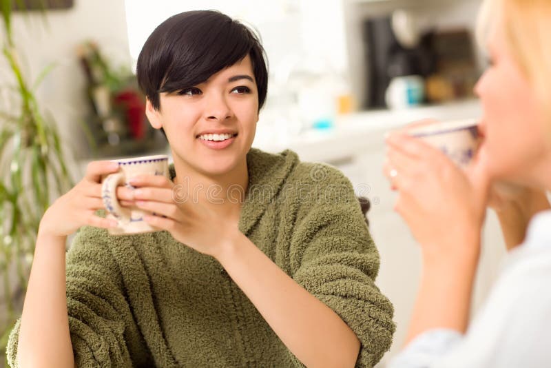 Multi-ethnic Young Woman Socializing with Friend stock images Multi-ethnic Young Woman Socializing with Friend stock images