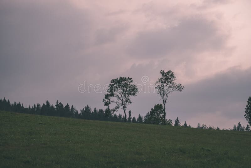 Multi level fields and forests in mountain area - vintage retro film look