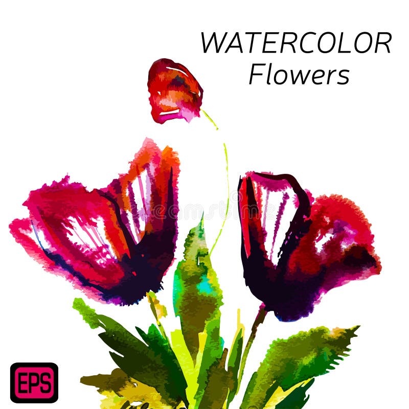 Multicolor Watercolor Vector Flowers