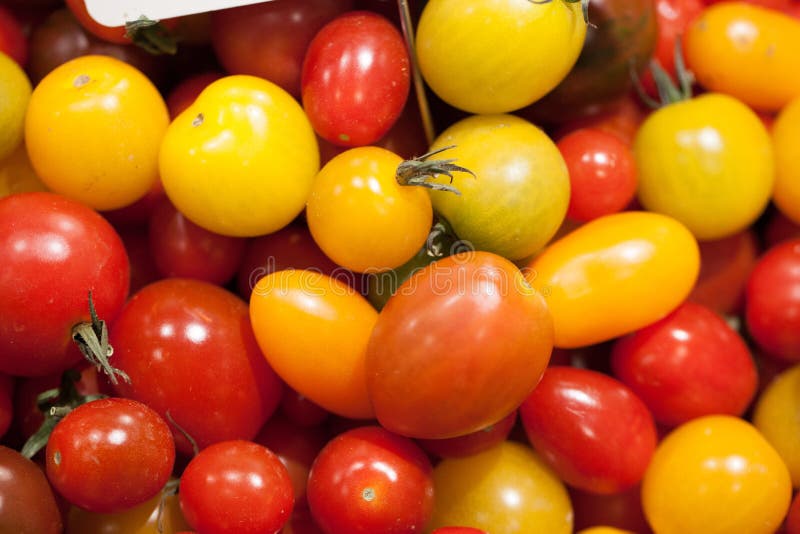 Multicolored cherry tomatoes for cocktail party