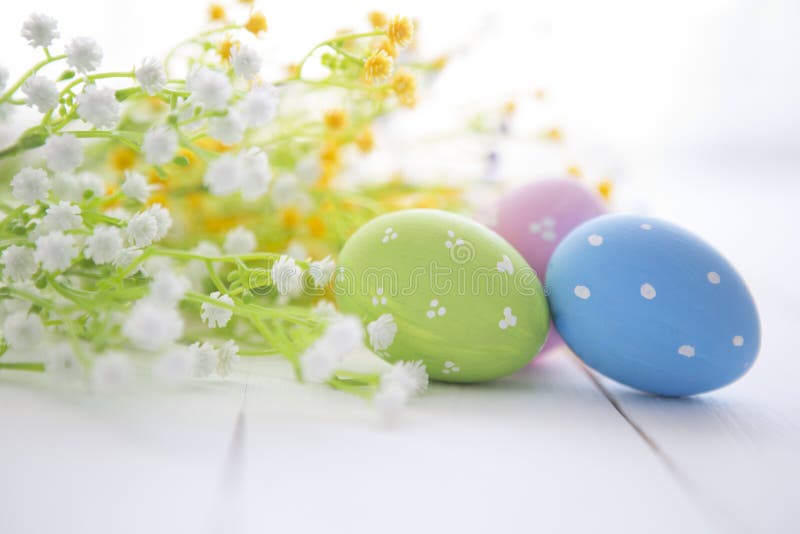 Multicolored Easter eggs in fresh flowers daisy. royalty free stock photography Multicolored Easter eggs in fresh flowers daisy. royalty free stock photography