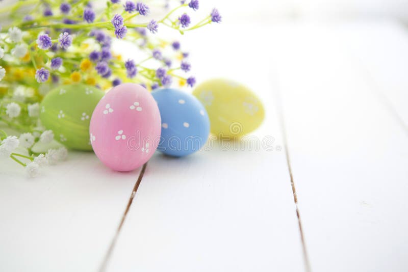 Multicolored Easter eggs in fresh flowers daisy. royalty free stock photo Multicolored Easter eggs in fresh flowers daisy. royalty free stock photo