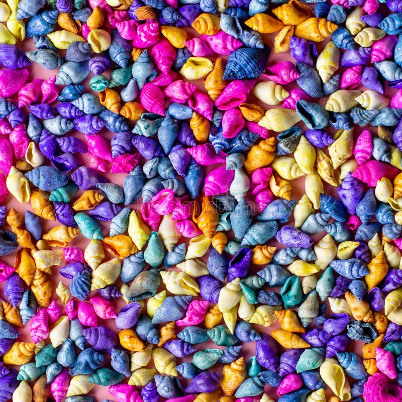 Multicolored seashells background on pink, top view, copy space. Summer concept, hello summer greeting card stock photos Multicolored seashells background on pink, top view, copy space. Summer concept, hello summer greeting card stock photos
