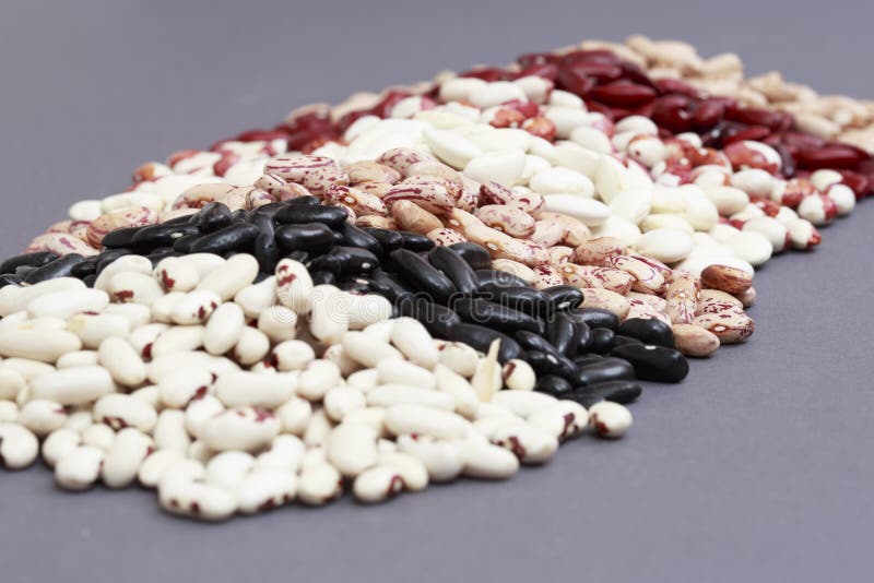 Multicolored String Beans. Legumes on a Gray Background with Spa Stock