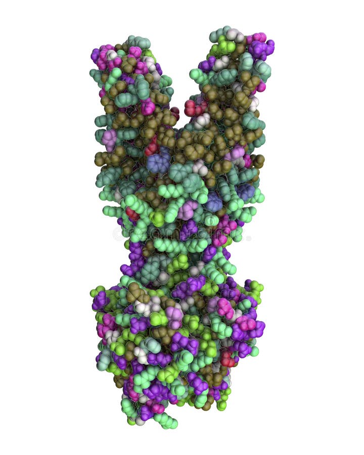 Multidrug Transporter Molecule, 3D Illustration Stock Illustration