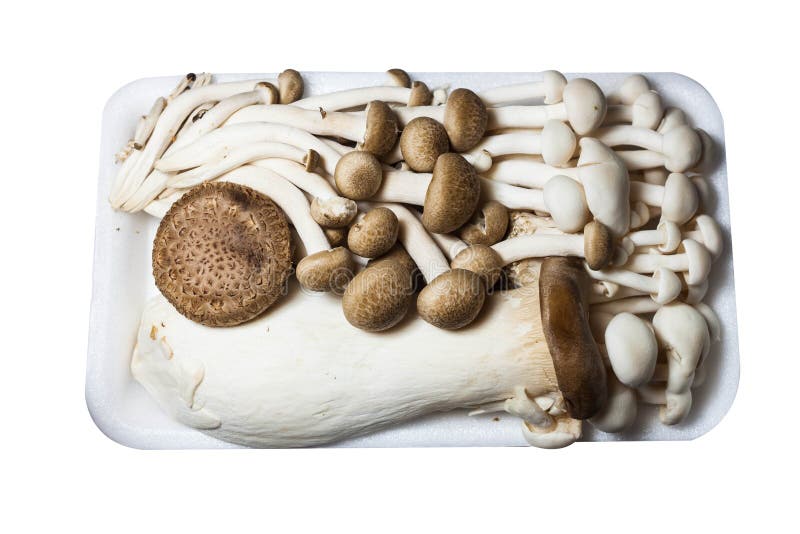 Multiple mushrooms in foam stock image. Image of packaging 73422681