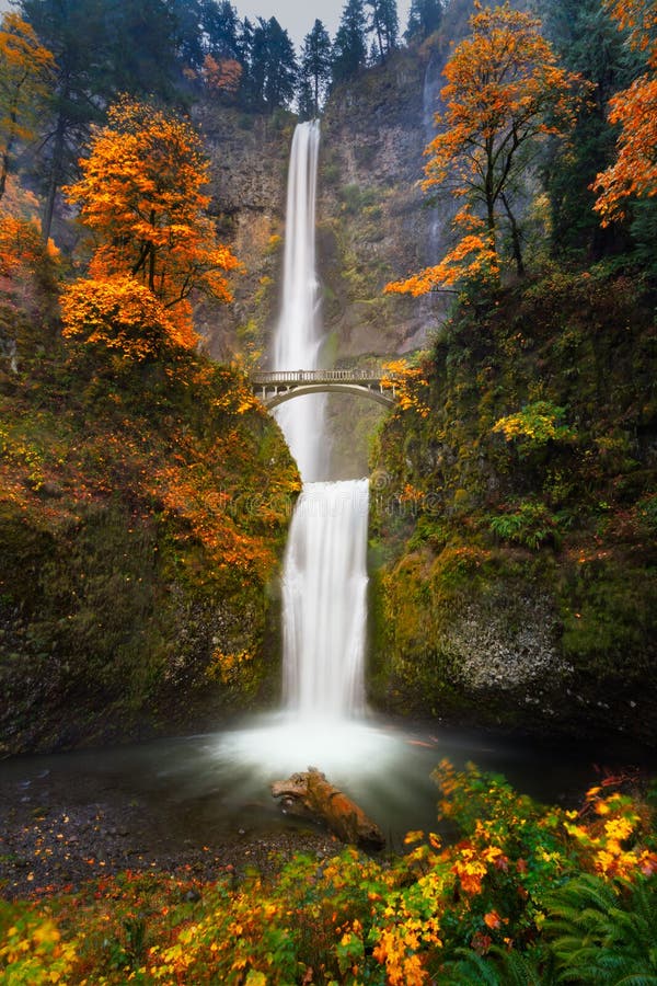 Multnomah baja en colores del otoño foto de archivo Multnomah baja en colores del otoño foto de archivo