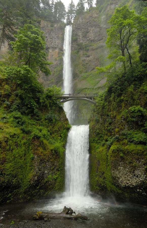 Multnomah cade l'Oregon immagine stock libera da diritti Multnomah cade l'Oregon immagine stock libera da diritti