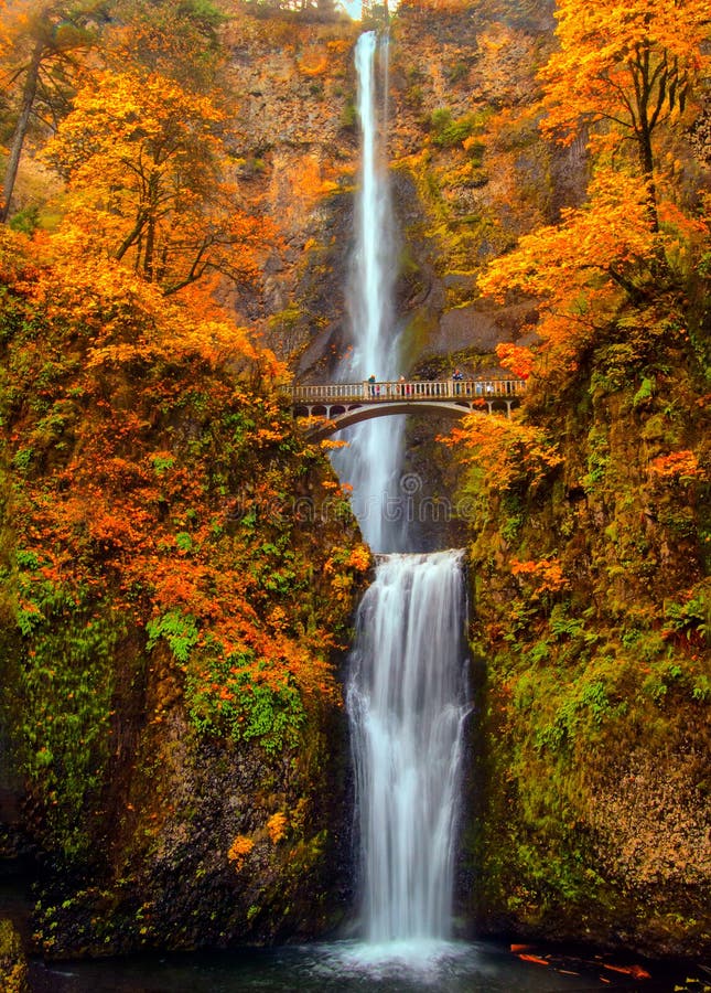 Multnomah Falls i Columbia River Gorge i Oregon med vackra fallfärger royaltyfri foto