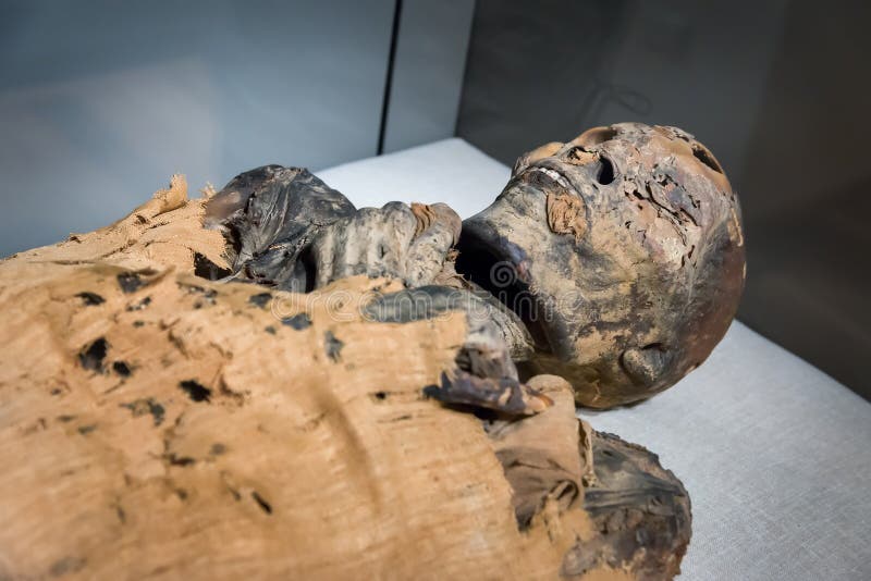 mumia egipska