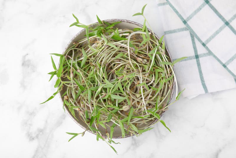 Mung Bean Sprouts in Bowl on White Marble Table, Top View Stock Image