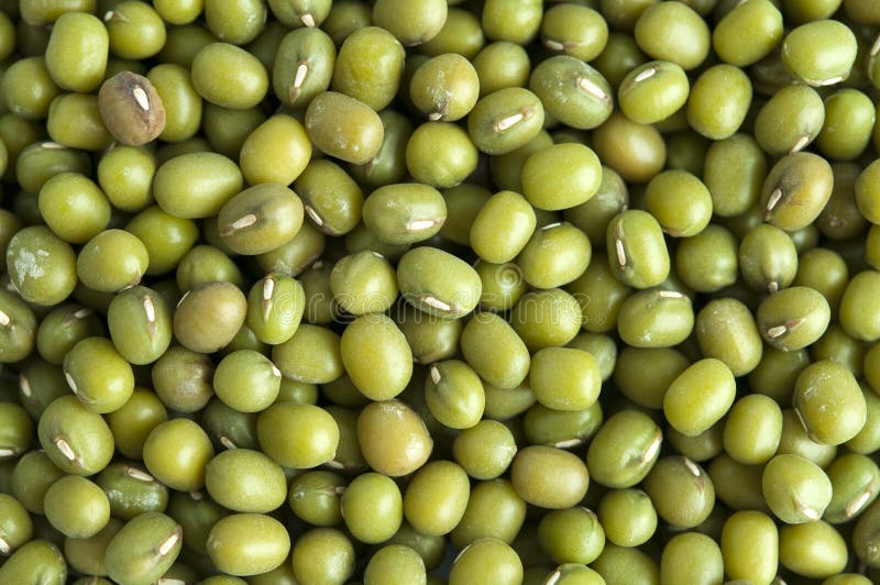 Mung beans royalty free stock images