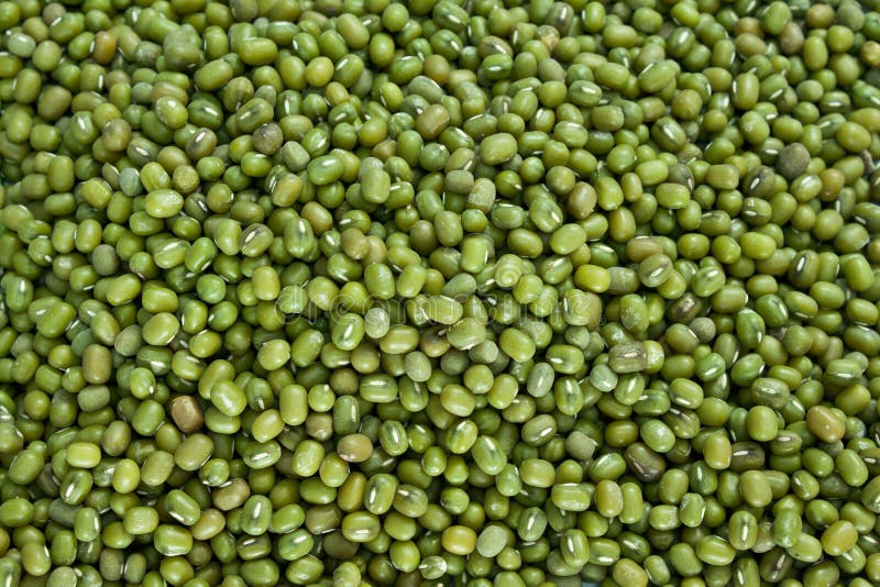 Mung Beans royalty free stock photography