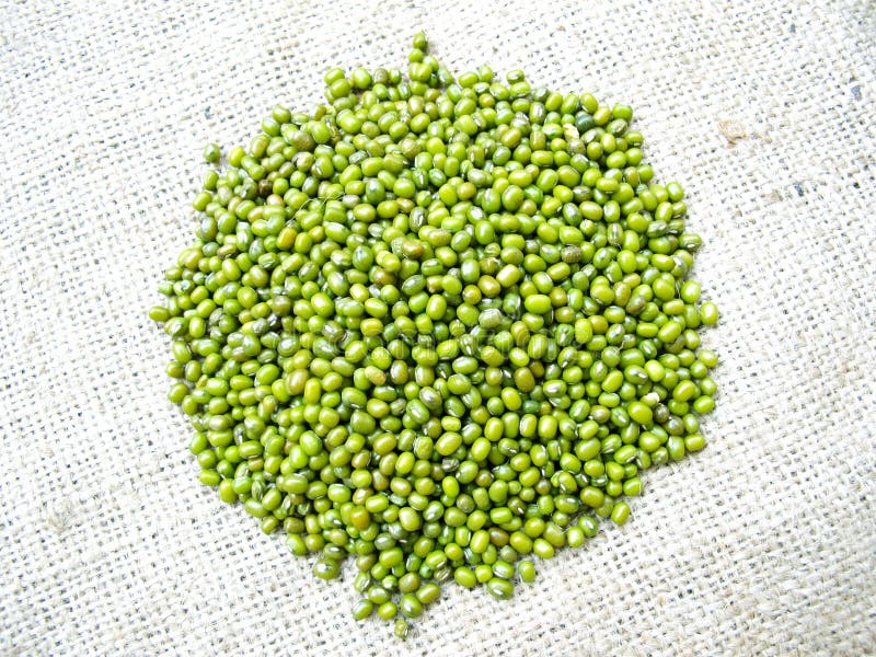 Mung Beans stock photography