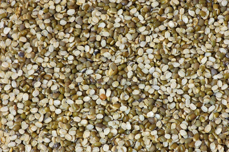 Mung Beans royalty free stock photography