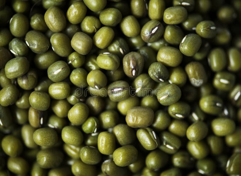 Mung beans textured background royalty free stock images