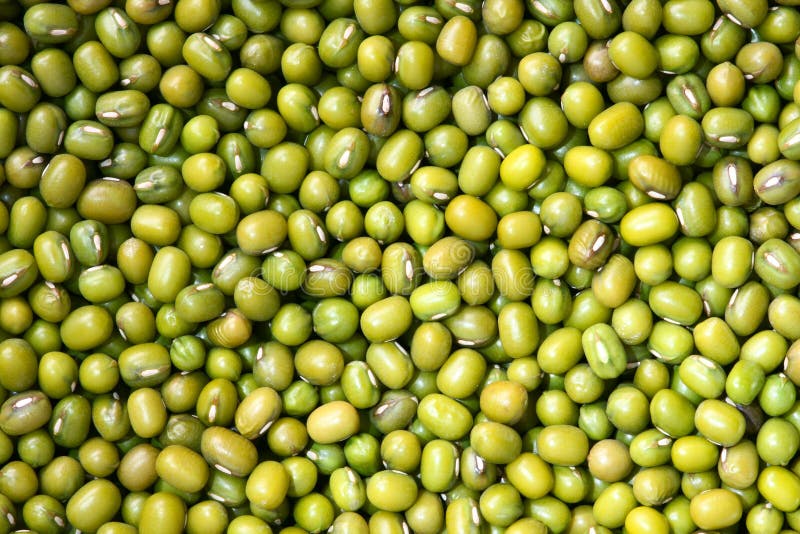 Mungbonen stock afbeeldingen