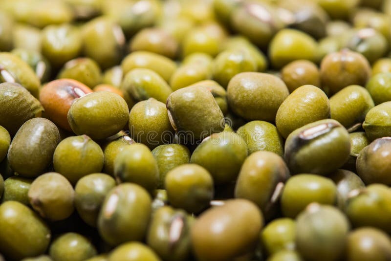 Mung boon royalty-vrije stock afbeeldingen