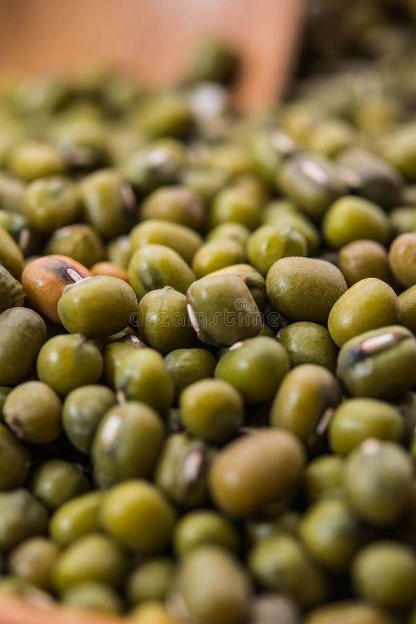 Mung boon royalty-vrije stock fotografie