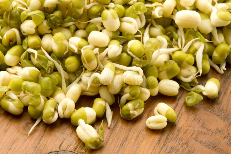 Ontkiemde taugé (mungbonen) stock fotografie