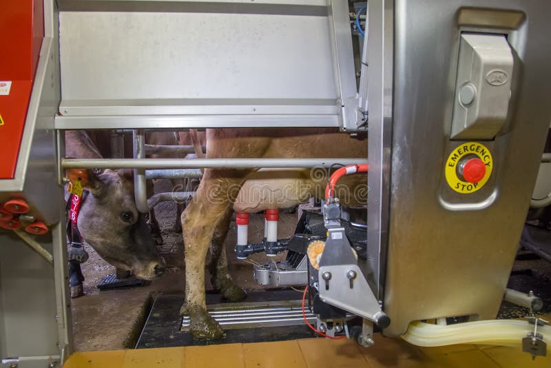 Kit Parti Mungitrice Capre - Collettore Latte Con Tazze Per Mungitura Familiare