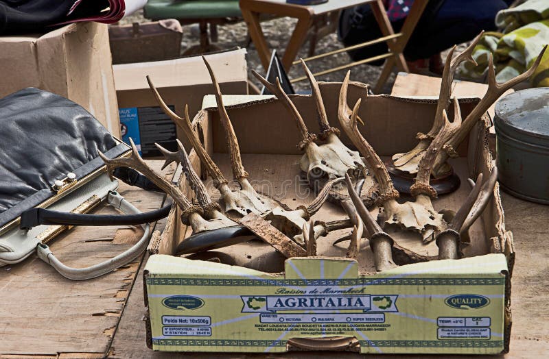 Trophy hunting, deer antlers , and other merchandise on sell at open air giant flea market in Munich, the biggest flea market of Bavaria,it happens for one single day every year on the Theresienwiese. More than 2000 market stalls (only private sellers), more than 10000 visitors: You find everything, very cheap. Trophy hunting, deer antlers , and other merchandise on sell at open air giant flea market in Munich, the biggest flea market of Bavaria,it happens for one single day every year on the Theresienwiese. More than 2000 market stalls (only private sellers), more than 10000 visitors: You find everything, very cheap.