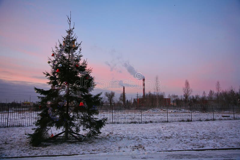 Municipal street poorly decorated Christmas tree on the edge of the industrial district of the city of St. Petersburg.