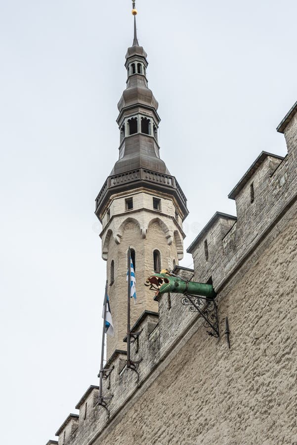 Municipio di Tallinn, Estonia Frammento Torre e bandiera dell'Estonia Lo scarico è progettato sotto forma di testa di drago fotografia stock libera da diritti Municipio di Tallinn, Estonia Frammento Torre e bandiera dell'Estonia Lo scarico è progettato sotto forma di testa di drago fotografia stock libera da diritti