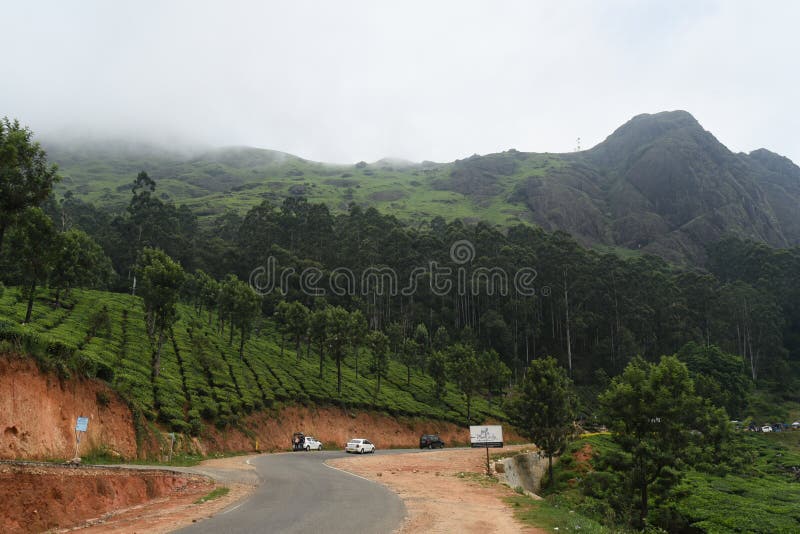 Munnar herbaciana nieruchomość i góra, Kerala, India obraz stock Munnar herbaciana nieruchomość i góra, Kerala, India obraz stock
