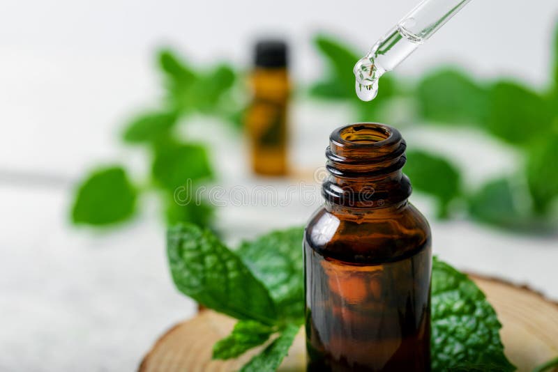 mint essential oil drop falling from dropper into the bottle. copy space. mint essential oil drop falling from dropper into the bottle. copy space