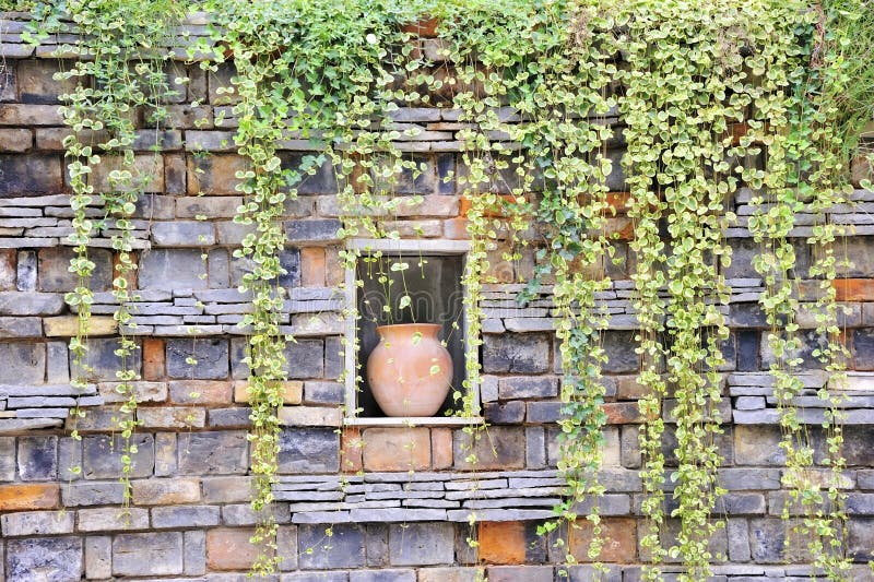 Mur images stock