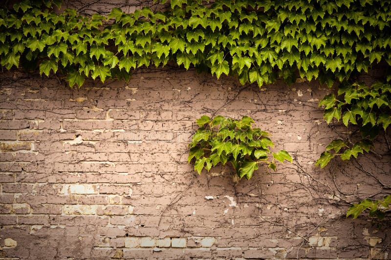 Mur de briques photographie stock libre de droits Mur de briques photographie stock libre de droits