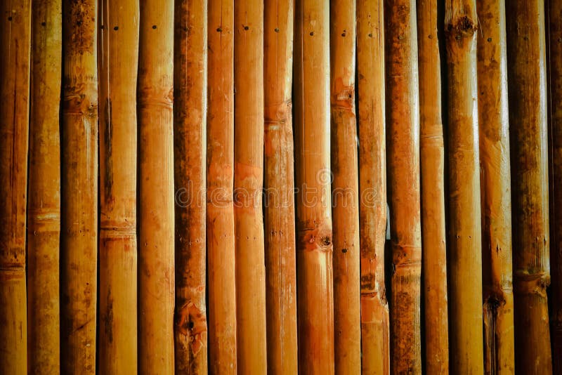  Mur  en bambou  photo stock Image du bambou  60466588