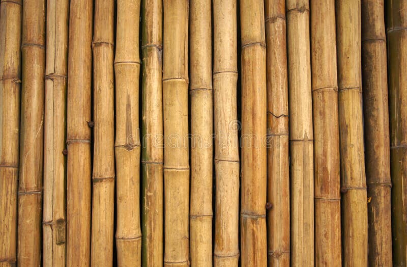  Mur  en bambou  photo stock Image du bambou  60466588