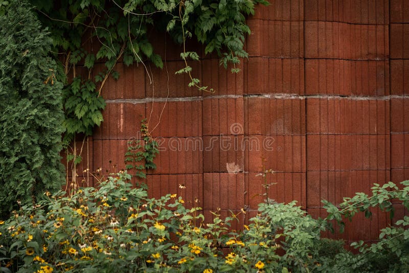 Papel de Parede Muro de Pedras Naturais Com Flores Verdes, Fácil e Prático