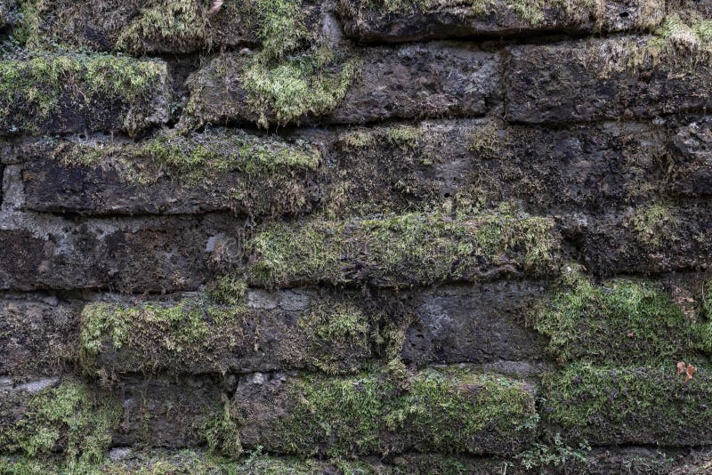Padrão De Fundo. Muro De Pedras Naturais Russa Com Musgo Verde E