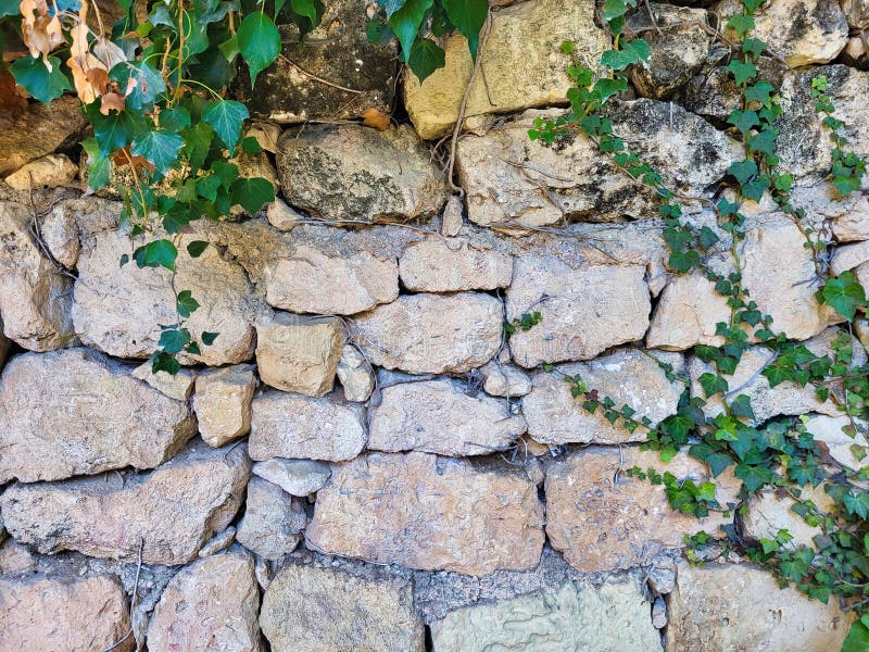 Muro De Pedra Com Musgo E Plantas Verdes. Captura De Reforço Da Via De  Cobertura. Pavimentação De Pedra Natural No Parque Próximo. Imagem de Stock  - Imagem de velho, estrutura: 262768673